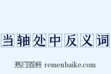 当轴处中反义词是什么意思的图片